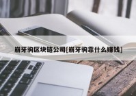 崩牙驹区块链公司[崩牙驹靠什么赚钱]