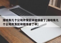 潍坊有几个公司开发区块链项目了[潍坊有几个公司开发区块链项目了啊]